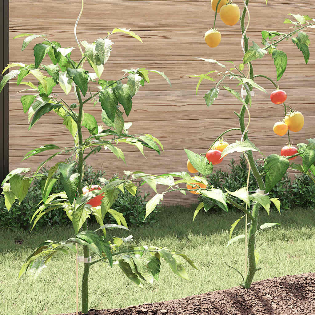 5 Pcs Spiral Plant Supports