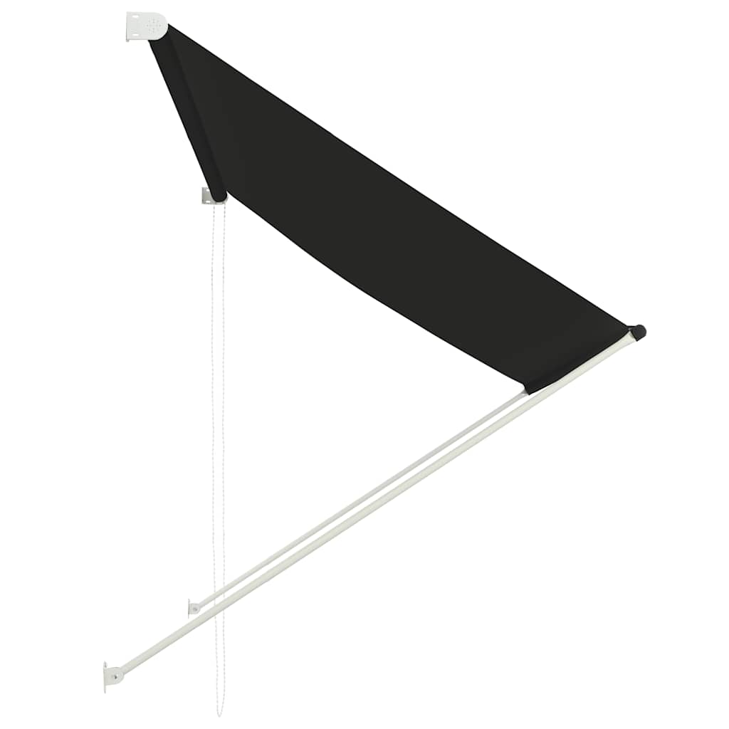 Retractable Awning