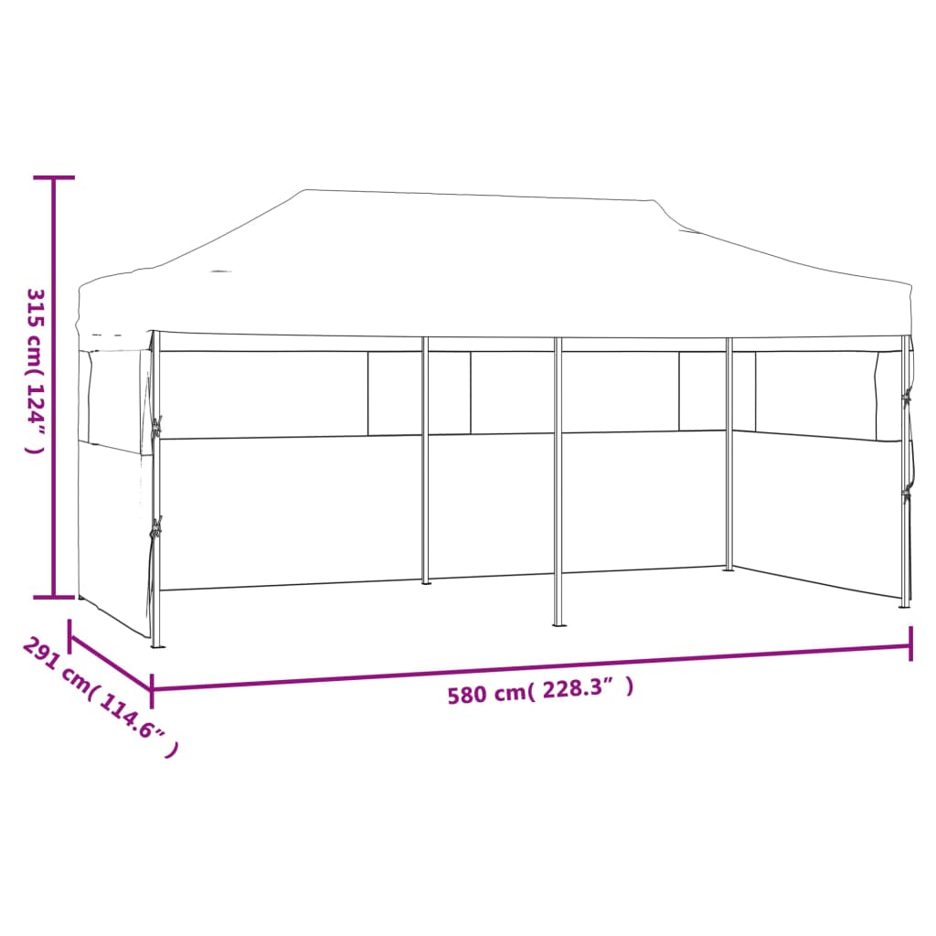 Folding Pop-Up Partytent With Sidewalls 3X6 M Anthracite