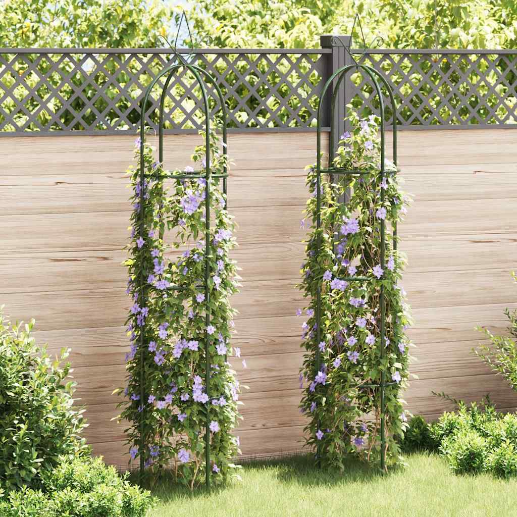 Garden Arch | Dark Green | Iron | Standard | Decorative Design