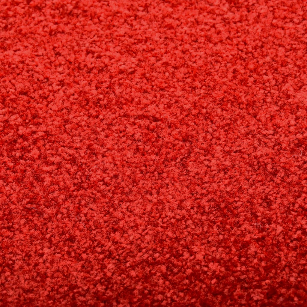 Doormat Washable