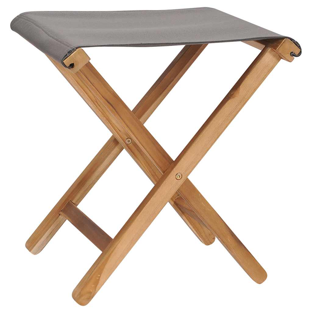 Outdoor Chair Set of 2 Folding Garden Chairs Solid Teak Wood Fabric Patio Seats