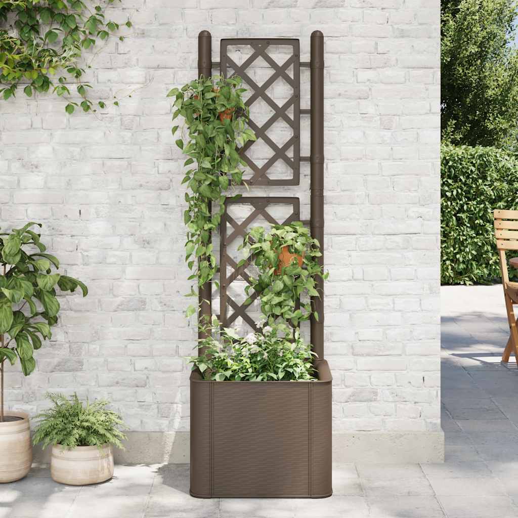 Garden Raised Bed With Trellis And Self Watering System