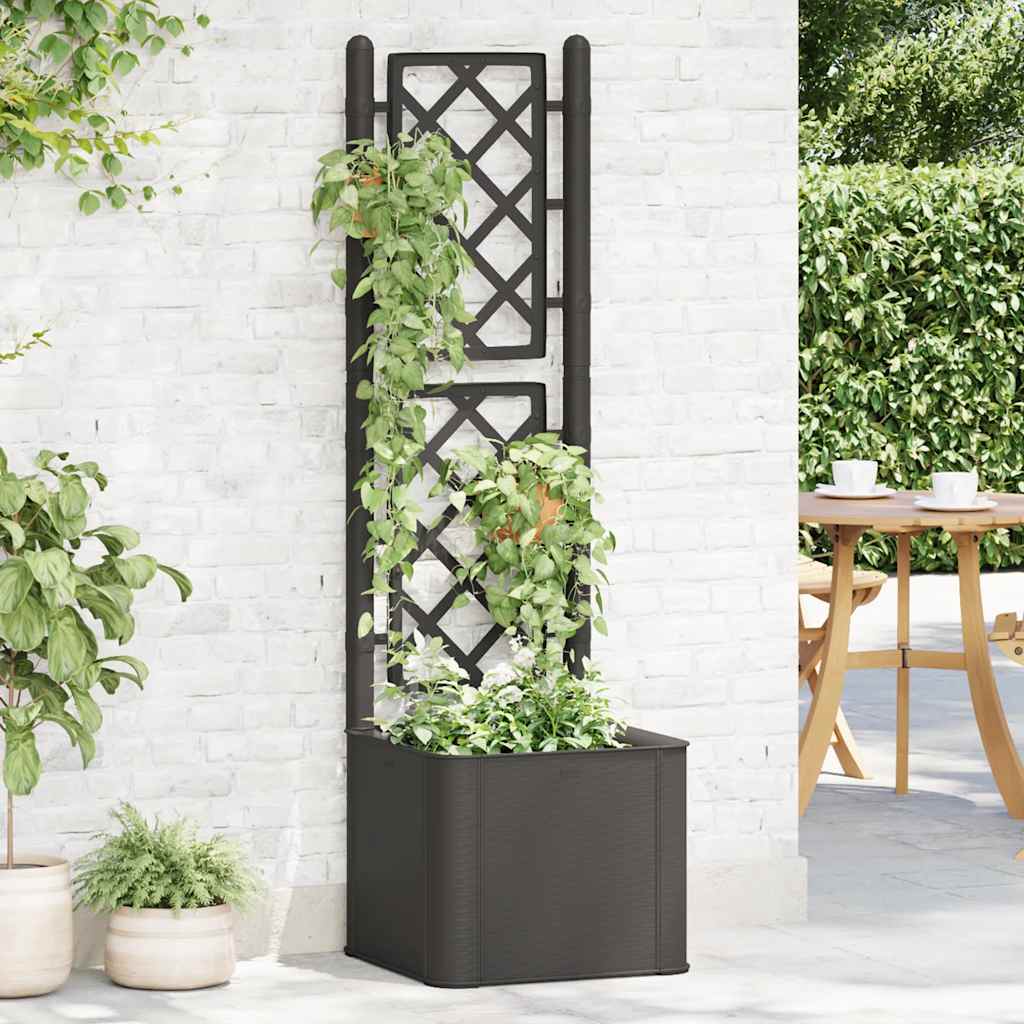 Garden Raised Bed With Trellis And Self Watering System