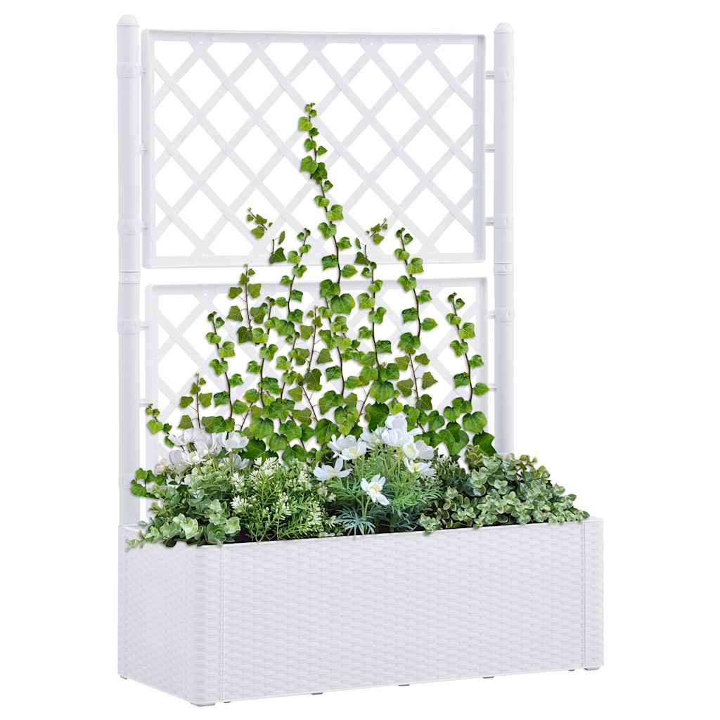 Garden Raised Bed With Trellis And Self Watering System