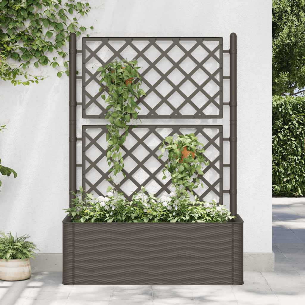 Garden Raised Bed With Trellis And Self Watering System