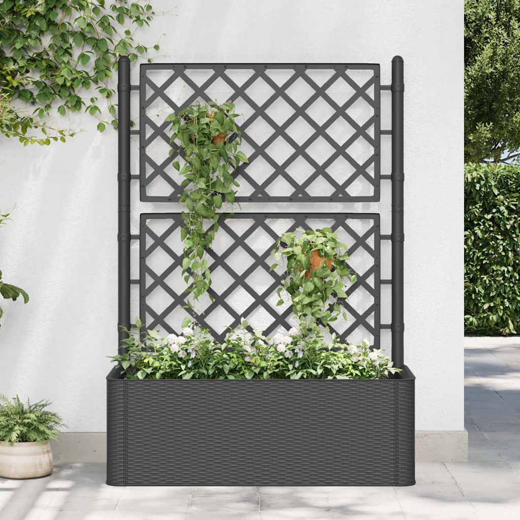 Garden Raised Bed With Trellis And Self Watering System