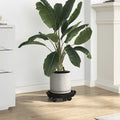 Plant Trolley With Wheels Diameter 30 Cm Black 170 Kg