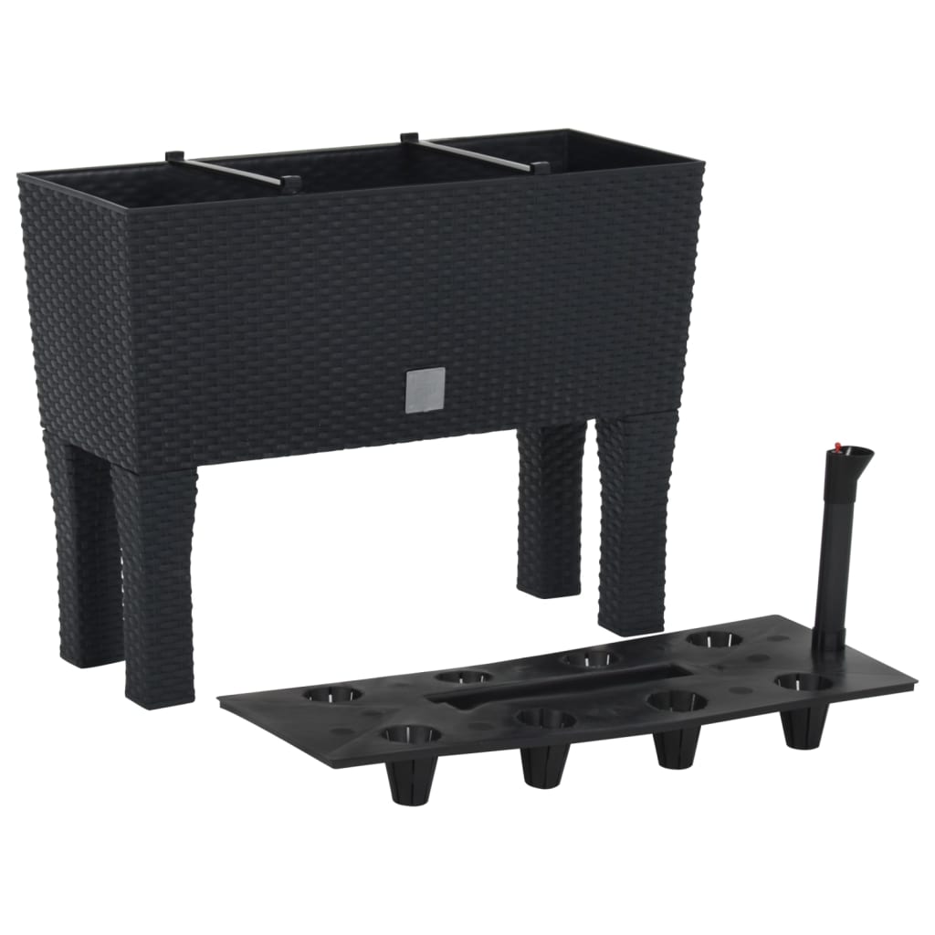 Raised Garden Bed Anthracite 60X25X46 Cm Pp Rattan