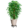 Plant Trolleys With Wheels 2 Pcs Diameter 40 Cm Black 275 Kg