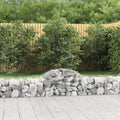 Arched Gabion Baskets 20 Pcs Galvanised Iron