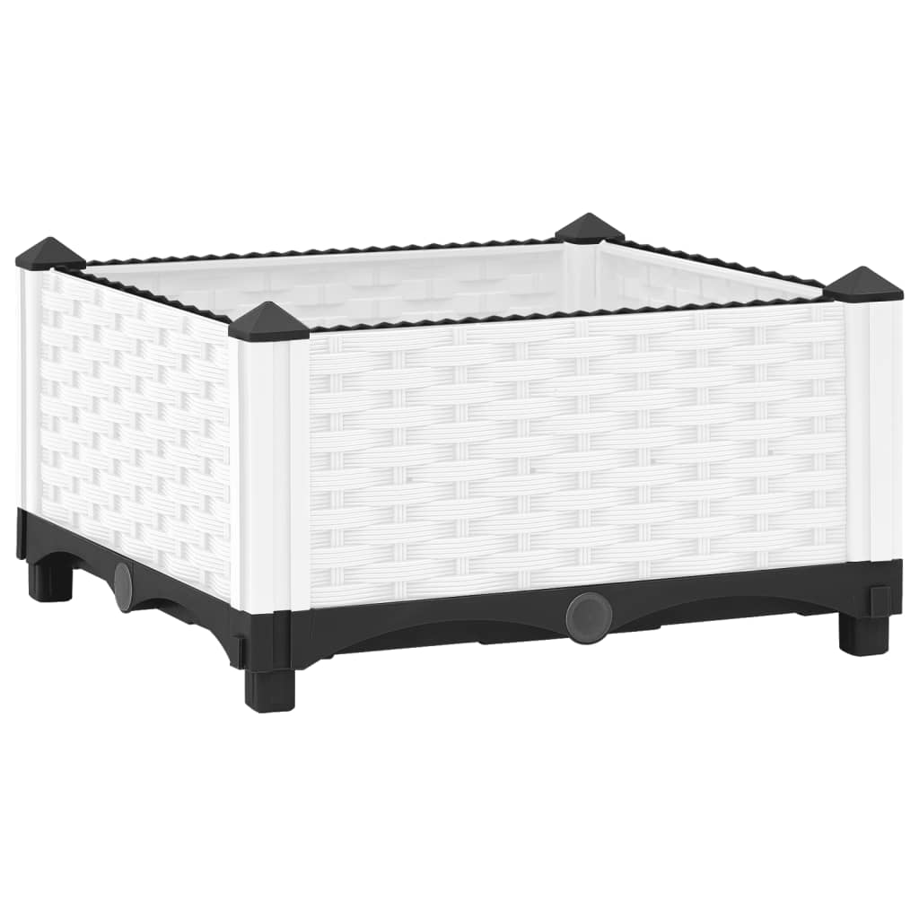 Raised Bed Polypropylene
