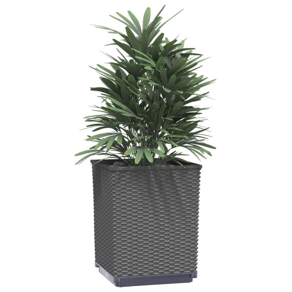 Planters 2 Pcs 30X30X37 Cm Polypropylene