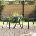Garden Chair 4 Pcs 56 X 65 X 89 Cm Steel