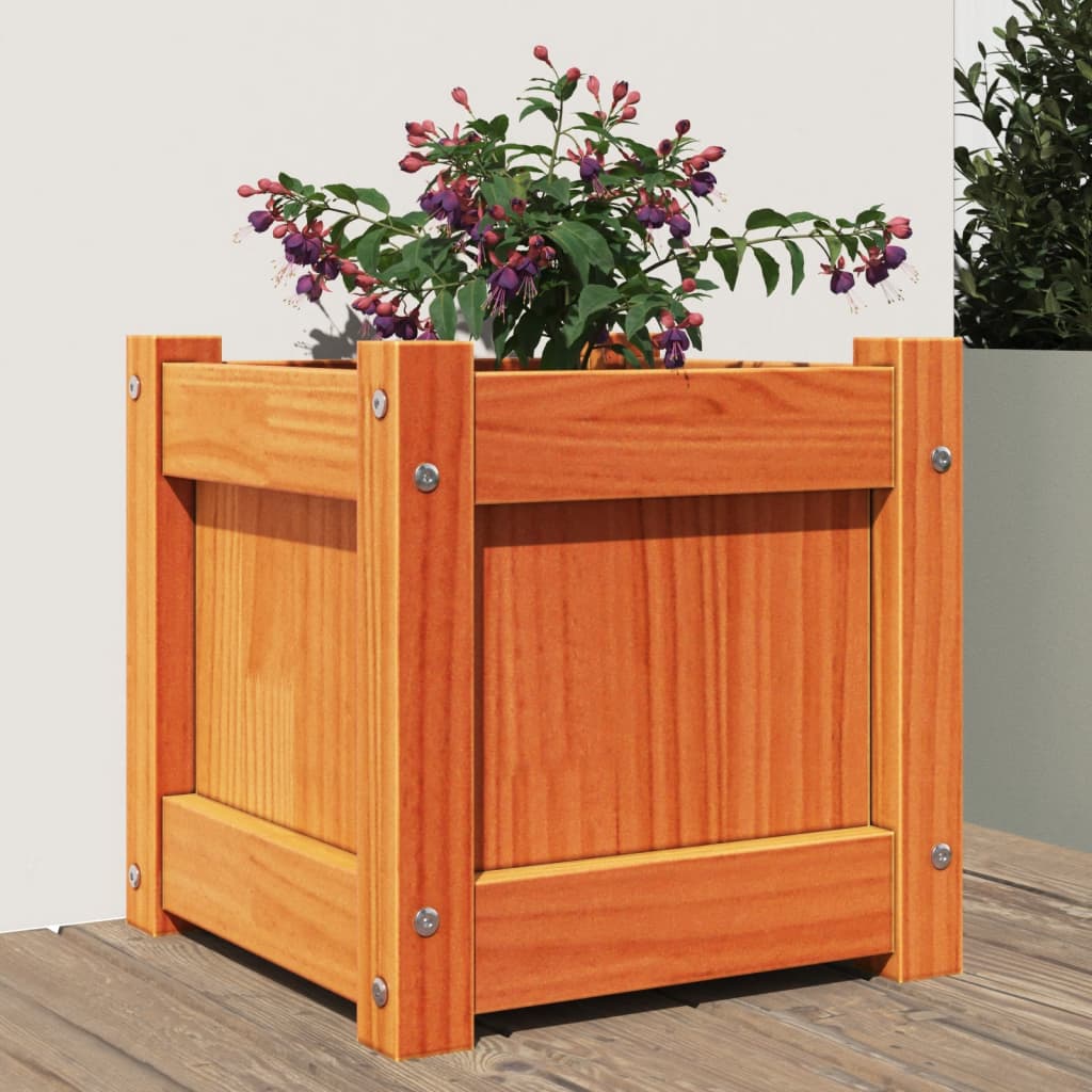 Garden Planter 31X31X31 Cm Solid Wood Douglas
