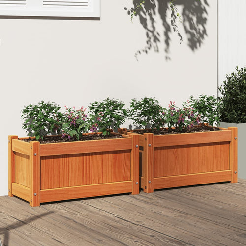 Garden Planters 2 Pcs Wax Solid Wood Pine