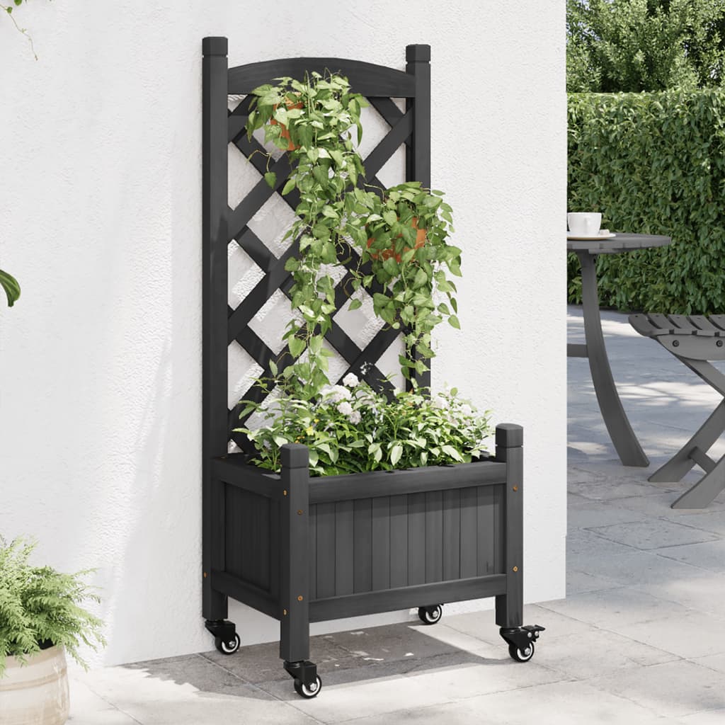 Planter Solid Wood Fir