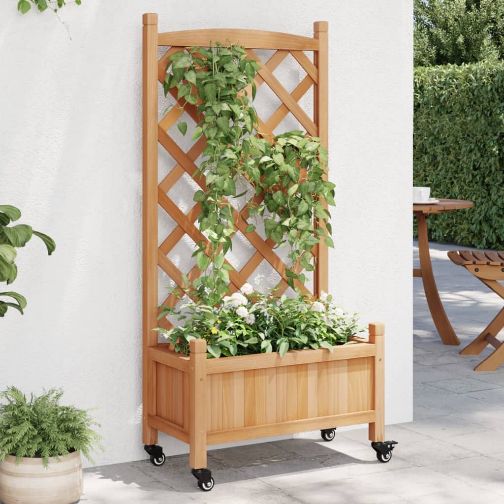 Planter Solid Wood Fir