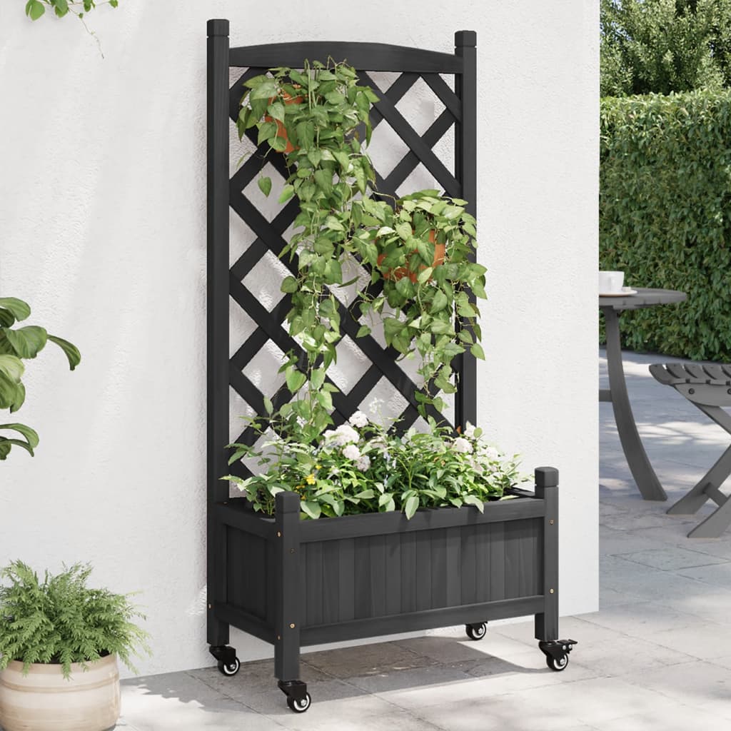Planter Solid Wood Fir