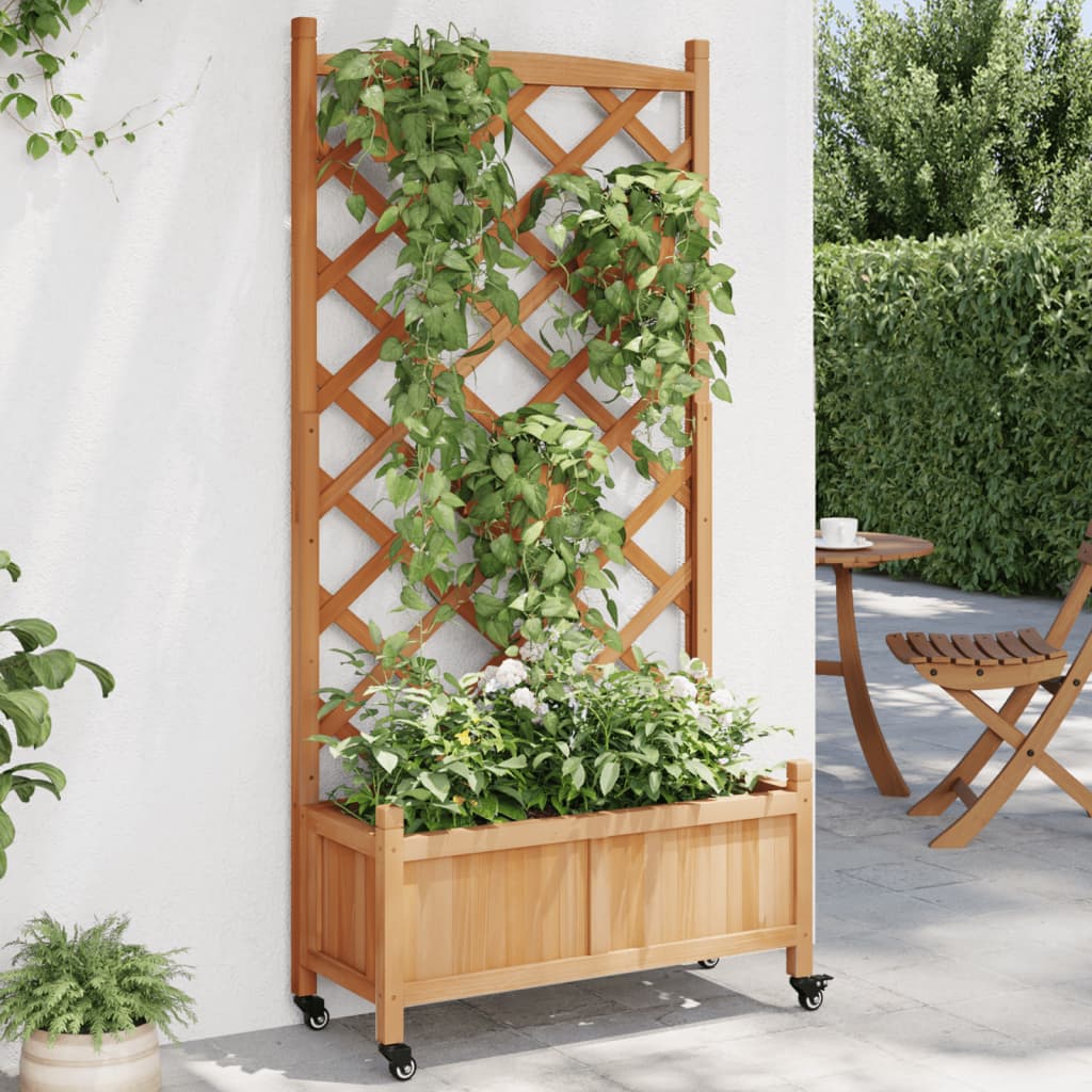 Planter Solid Wood Fir