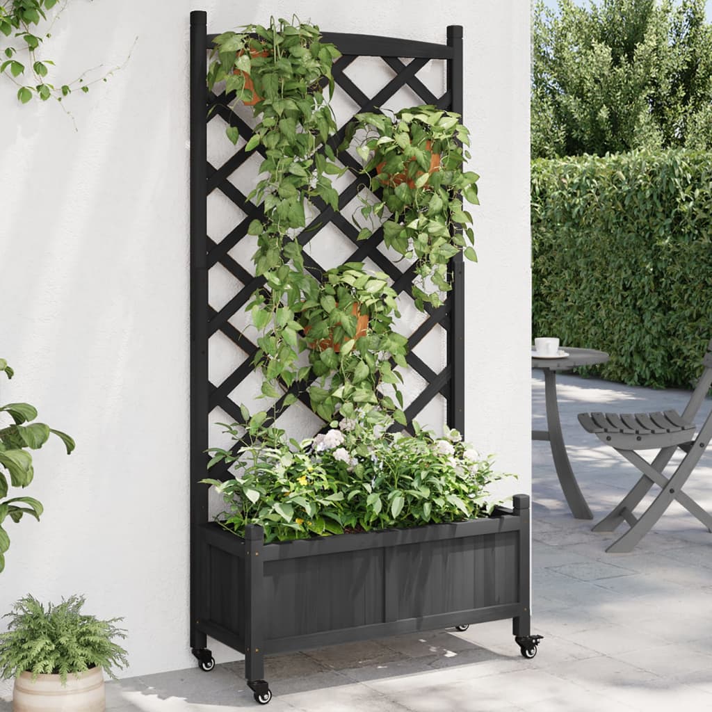 Planter Solid Wood Fir