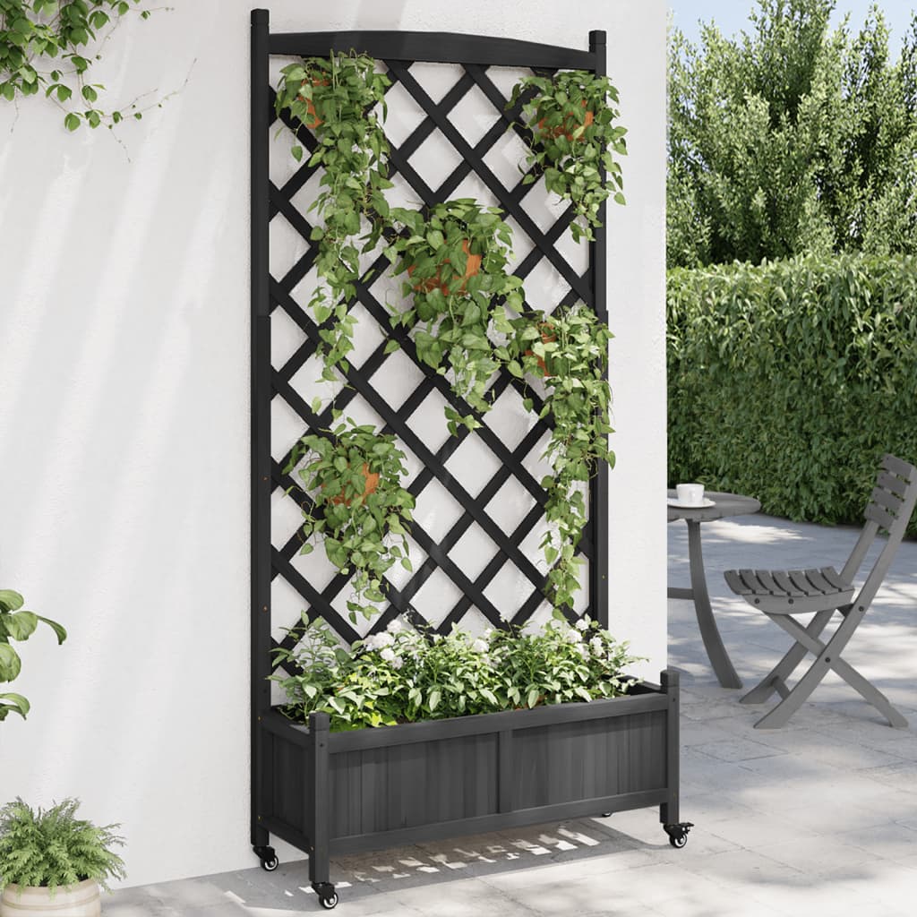 Planter Solid Wood Fir