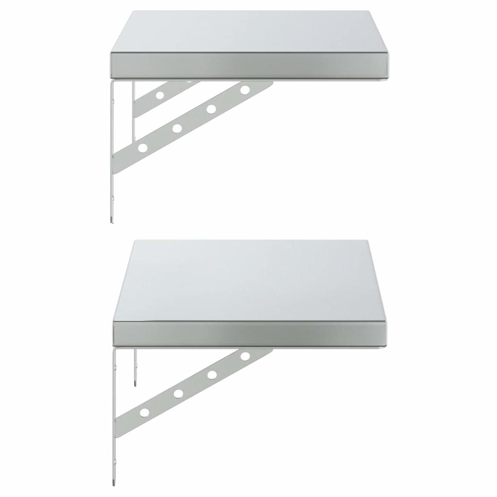 Wall Shelves 2 Pcs Stainless Steel