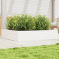 Garden Planter Solid Wood Pine