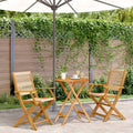 Outdoor Furniture Set 3 Piece Bistro Polypropylene & Solid Wood Patio