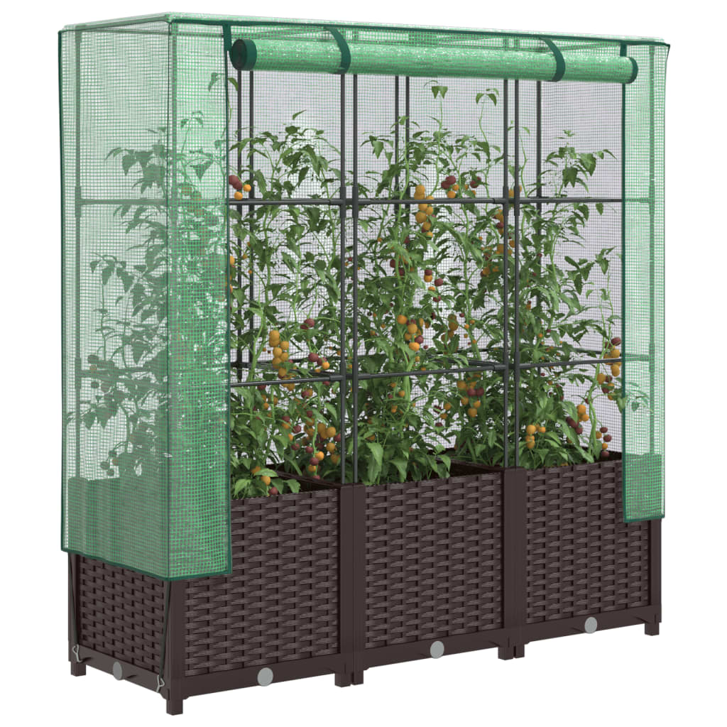 Raised Bed With Greenhouse Cover Rattan Look