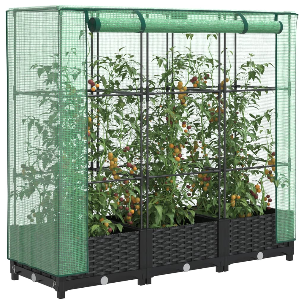 Raised Bed With Greenhouse Cover Rattan Look
