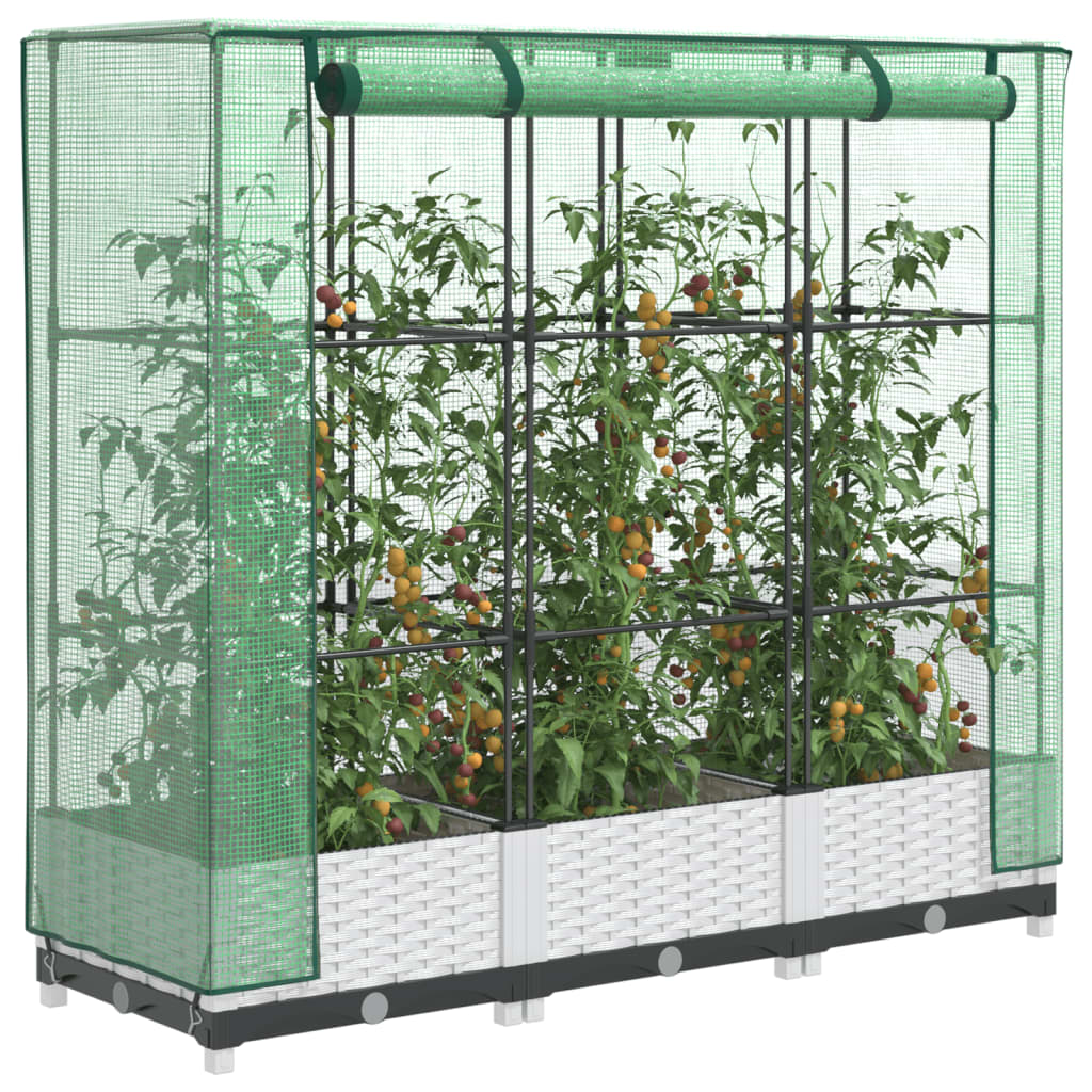 Raised Bed With Greenhouse Cover Rattan Look