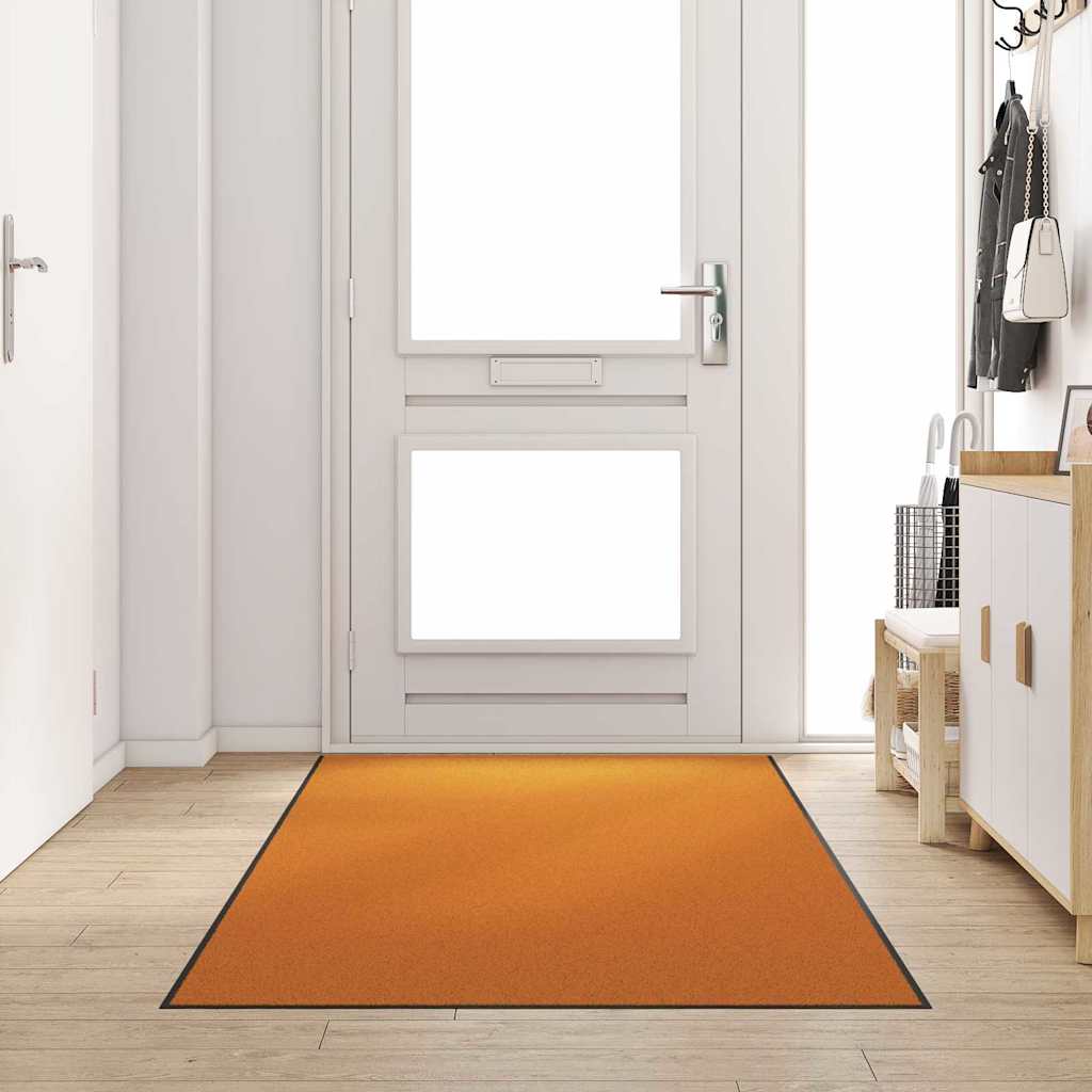 Doormat Washable