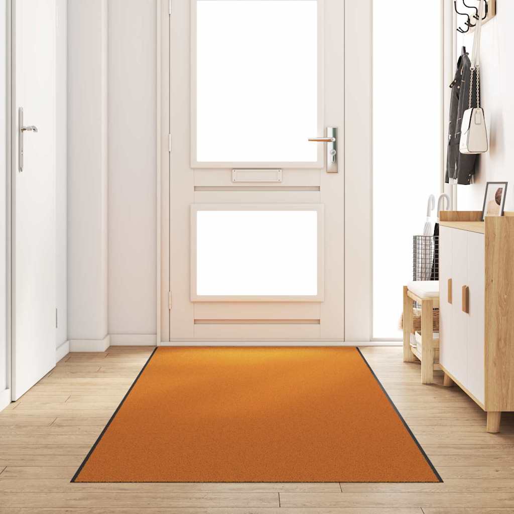 Doormat Washable