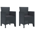 Garden Chair 2 Pcs Anthracite 53 X 49 X 85 Cm Polypropylene