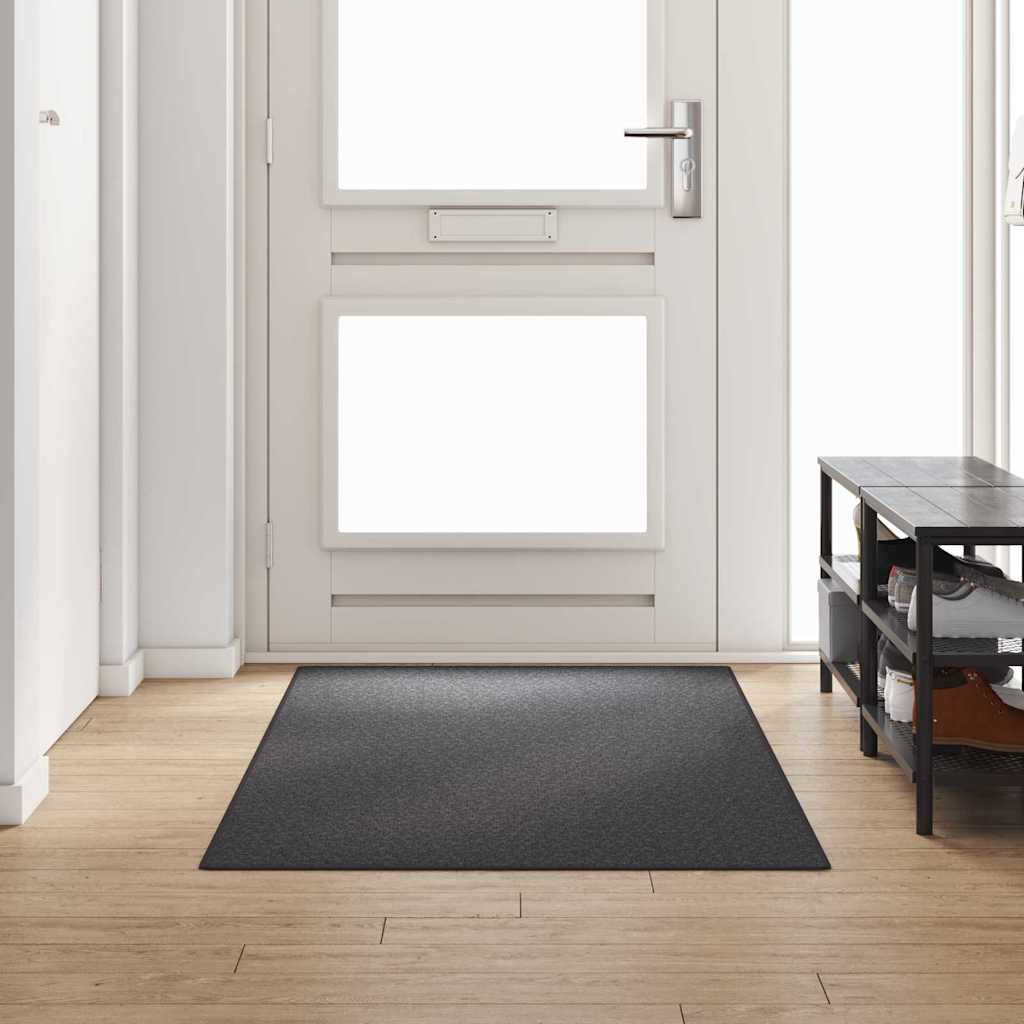 Carpet Runner