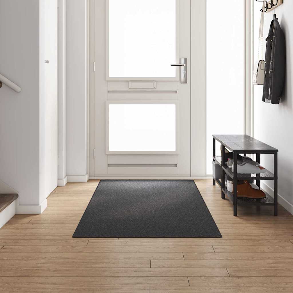 Carpet Runner