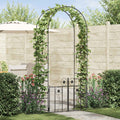Garden Arch With Lock 203 X 50 X 218 Cm