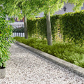 Lawn Edging 10 Pcs 100 X Steel Silver
