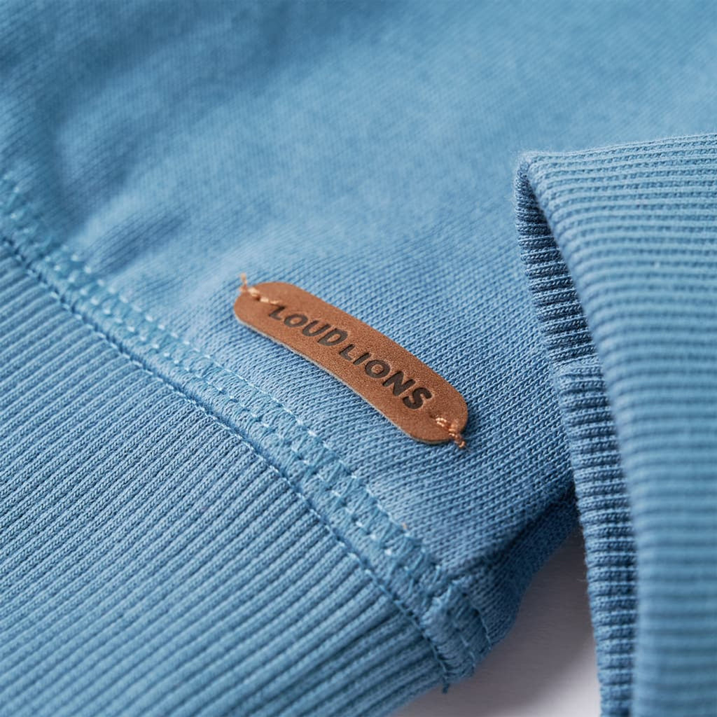 Sweatshirt Cotton Medium Blue 104 Kids Clothing Children's Top Kids Wear 104