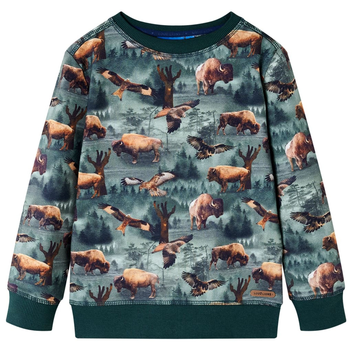 Sweatshirt Cotton Dark Green 140 Kids Clothing Children's Top Kids Variant 2