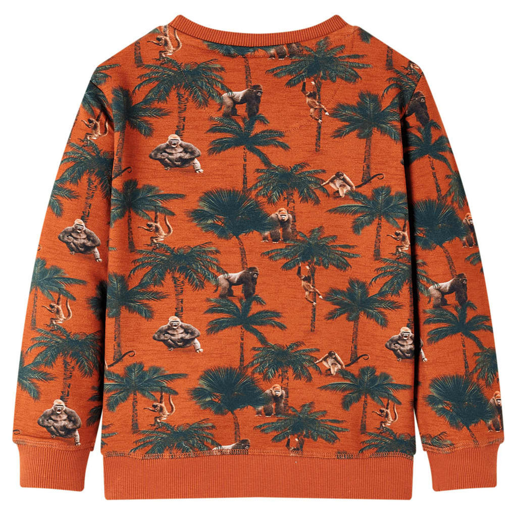 Sweatshirt Cotton Light Rust 128 Kids Clothing Children's Top Kids Wear 128