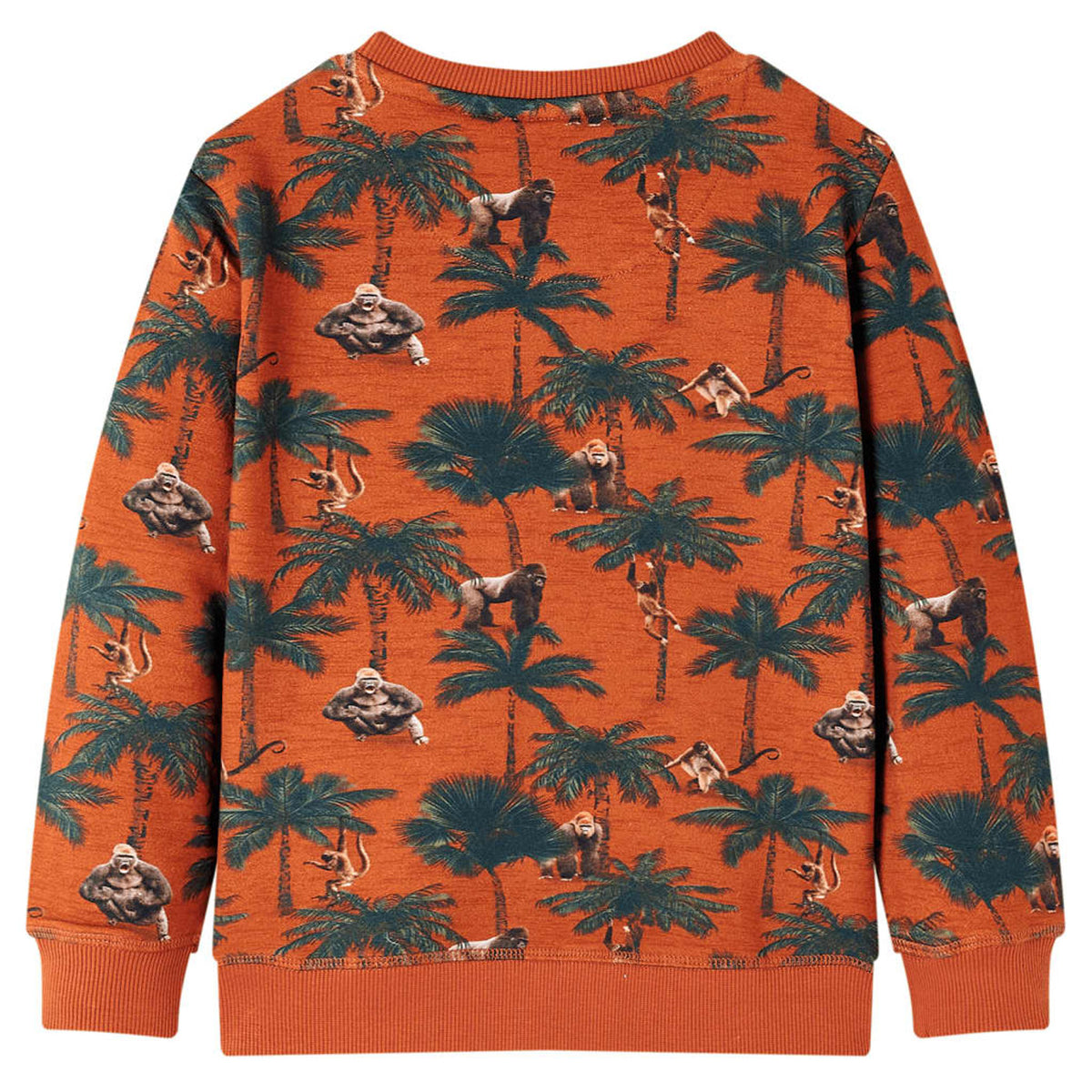 Sweatshirt Cotton Light Rust 128 Kids Clothing Children's Top Kids Wear 128