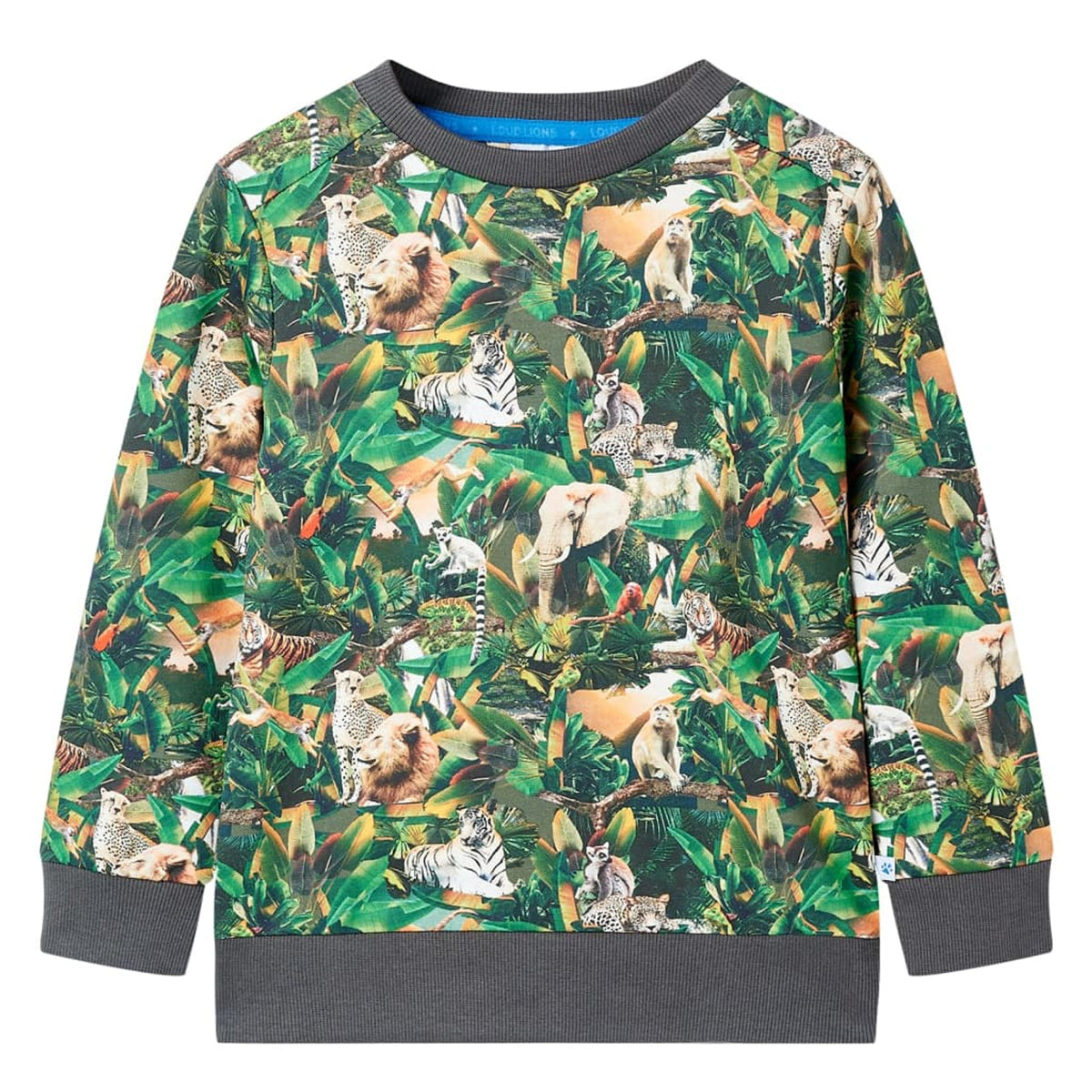 Sweatshirt Cotton Old Petrol 116 Kids Clothing Children's Top Kids Wear 116